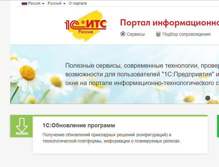 skachkaobnov.png