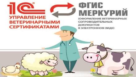 ФГИС Меркурий: кого коснется, чего бояться, как работать