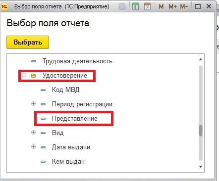 polyotcheta.JPG